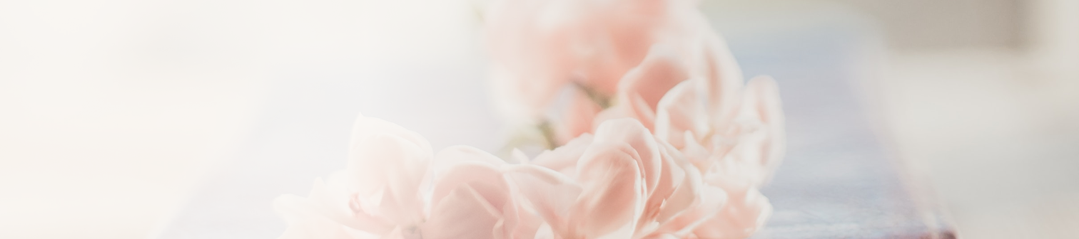 Mjuka, rosa blommor med en suddig bakgrund.